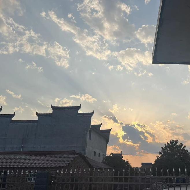 广东省省草