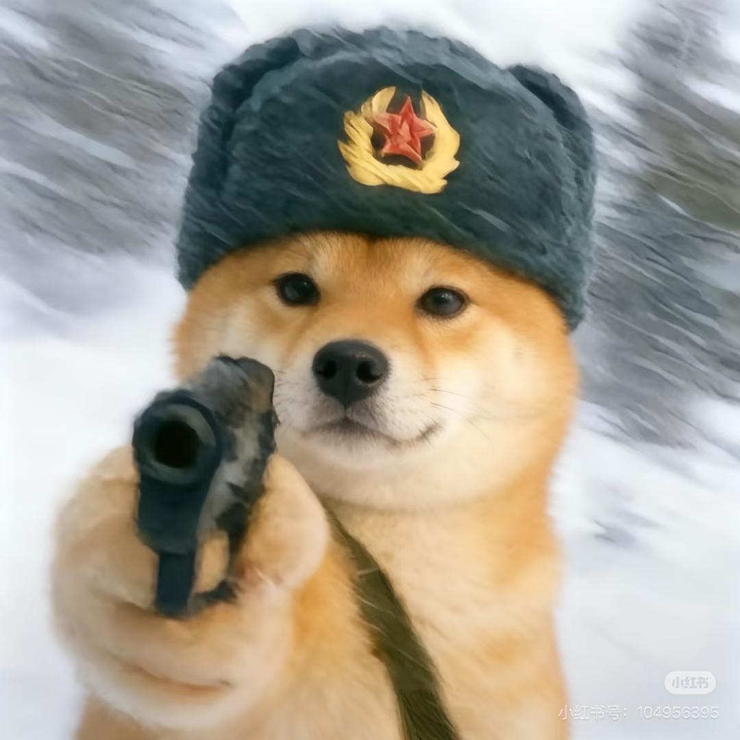 小达