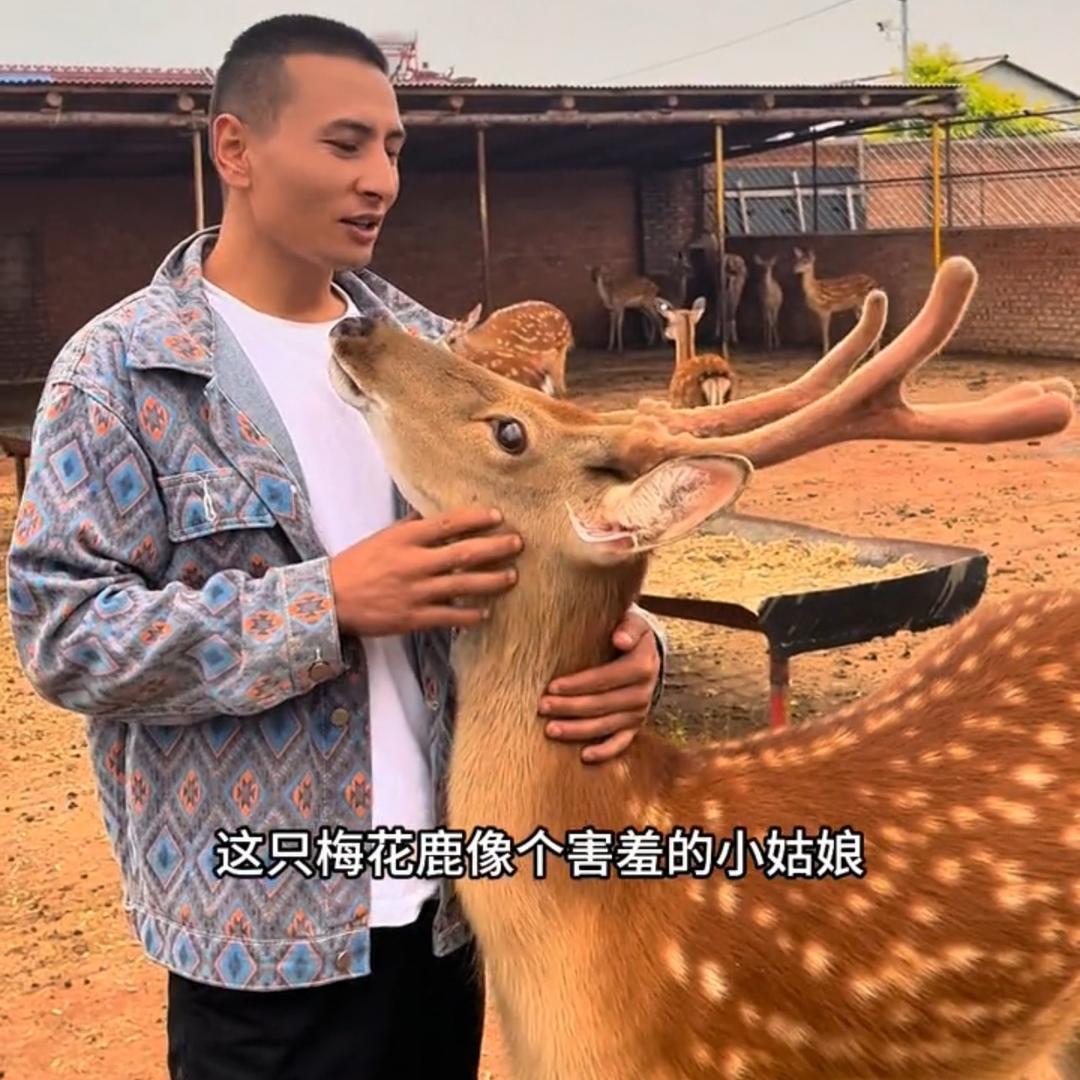 阿卜好物分享