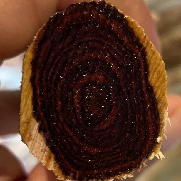 诺发海南黄花梨