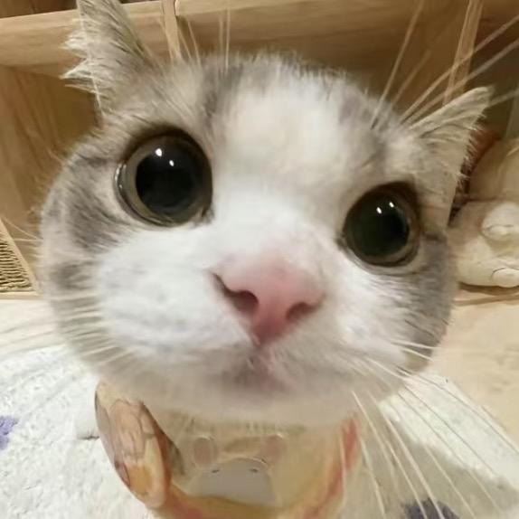 4uooo