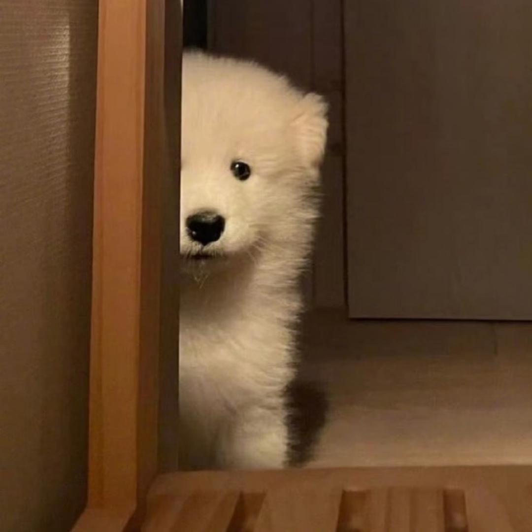 '