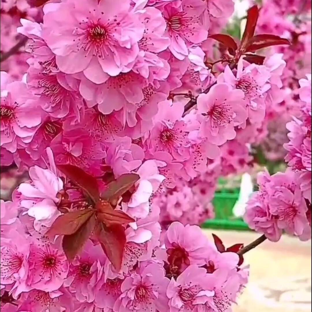 任任任任