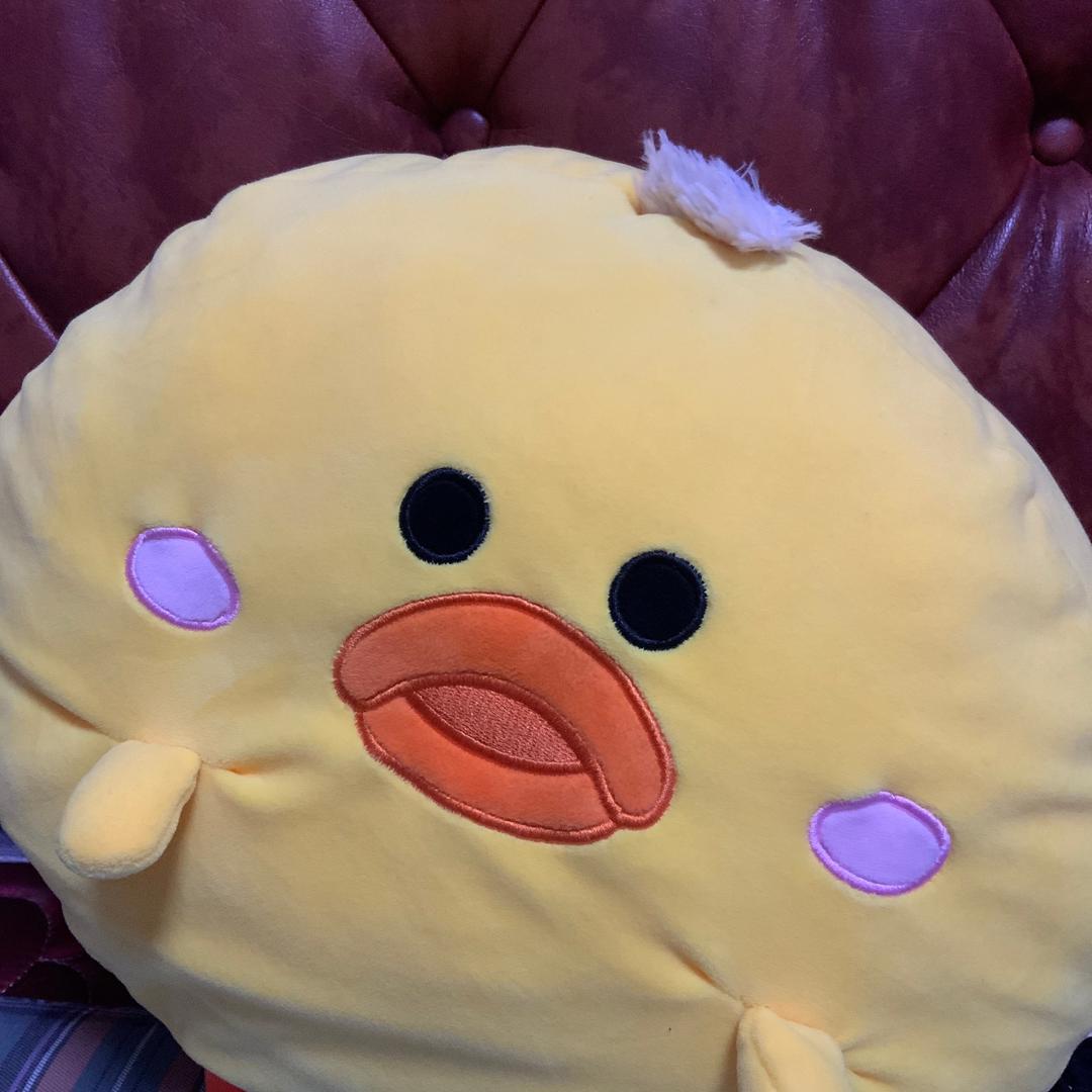 小鸡仔