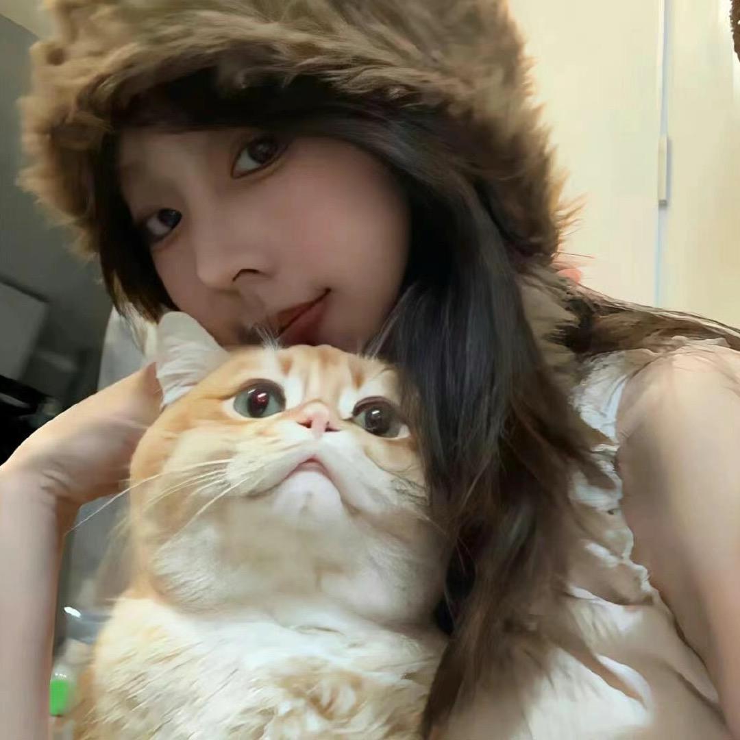 长点脑子吧