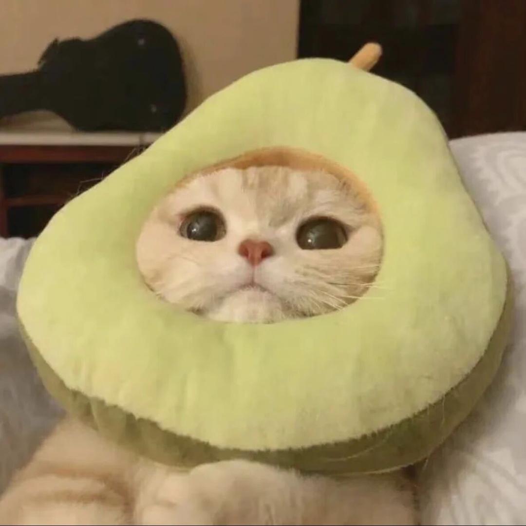 依旧力工