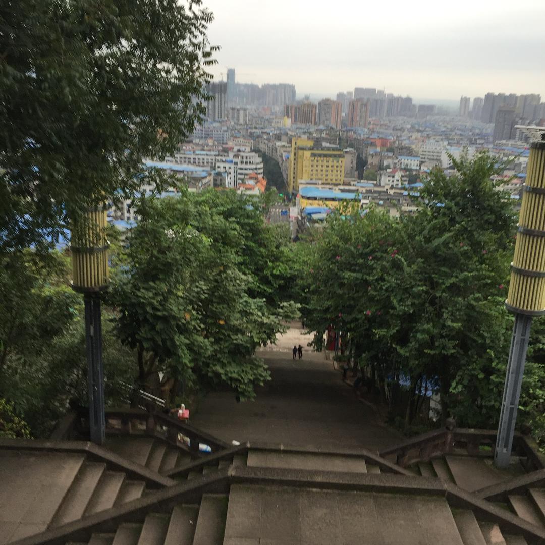 风中追风