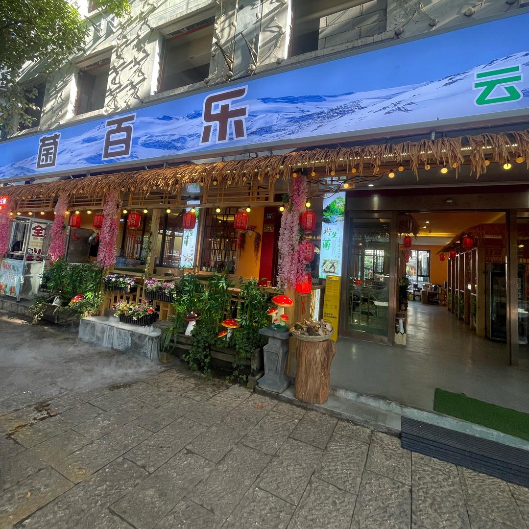 满满菌百乐云南菜野生菌菇店