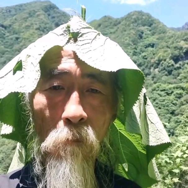 好运锦鲤