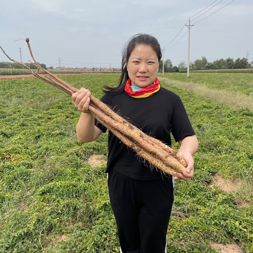 村姑阿欣土特产