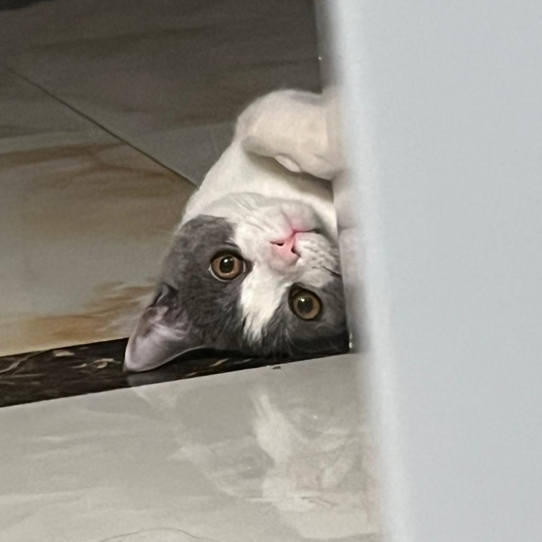 小艾不听话