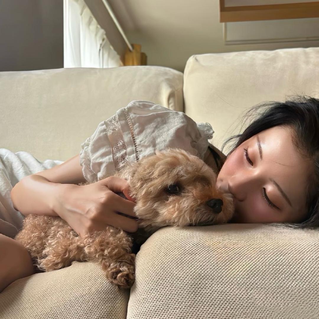 晚安小齐-