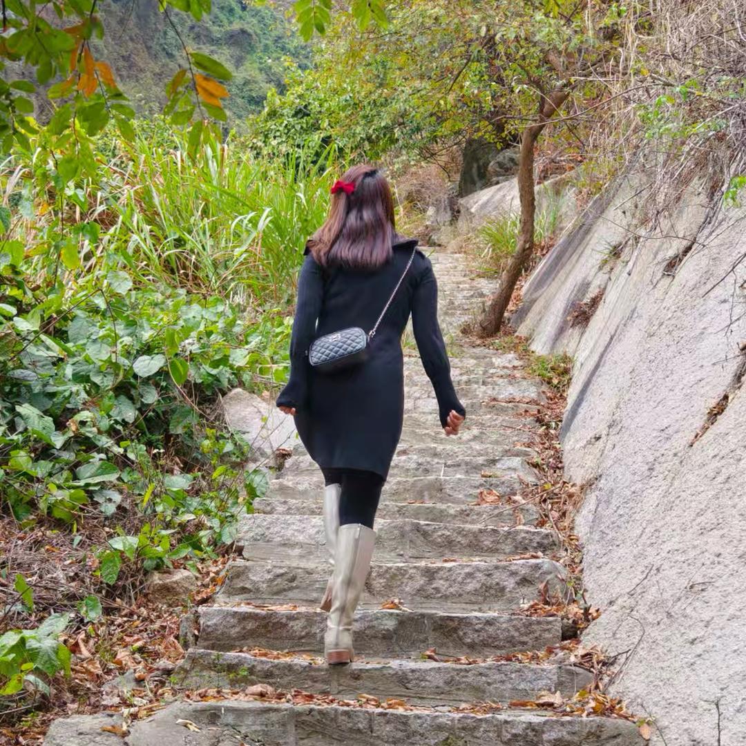 我爱吃香菜