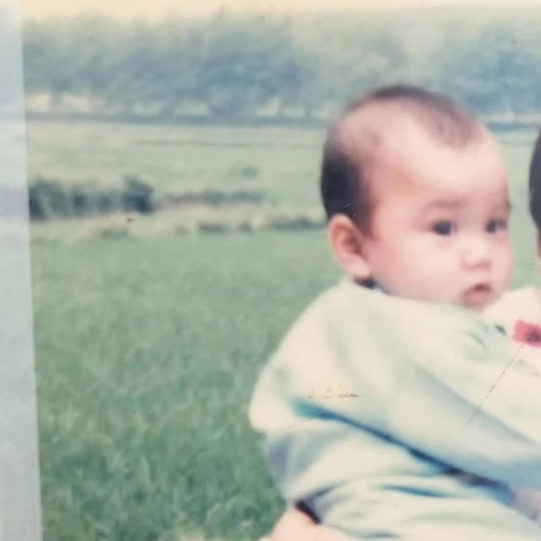 迷途知返