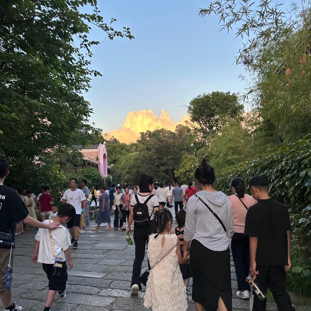 九玖优优