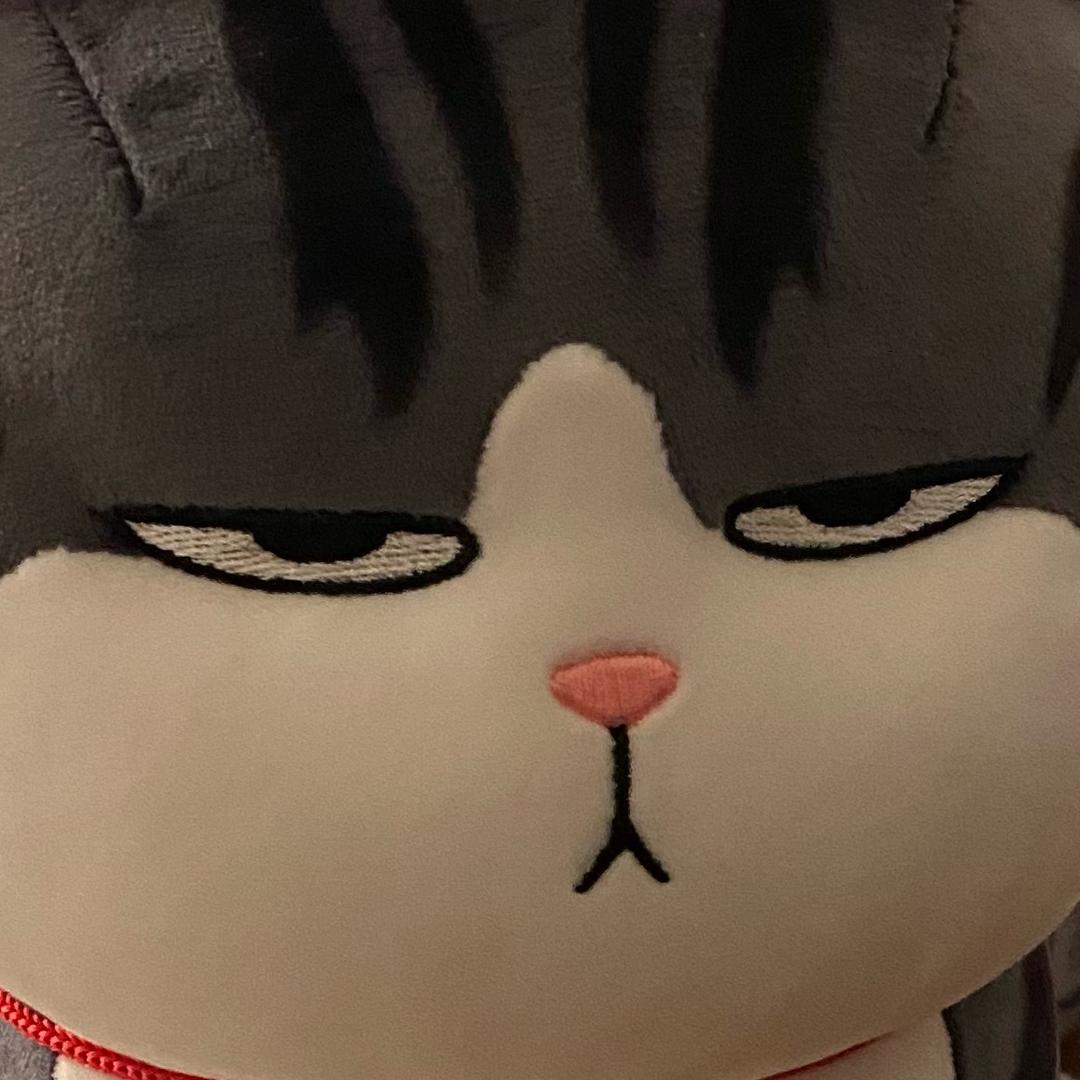 粥粥的奇妙冒险