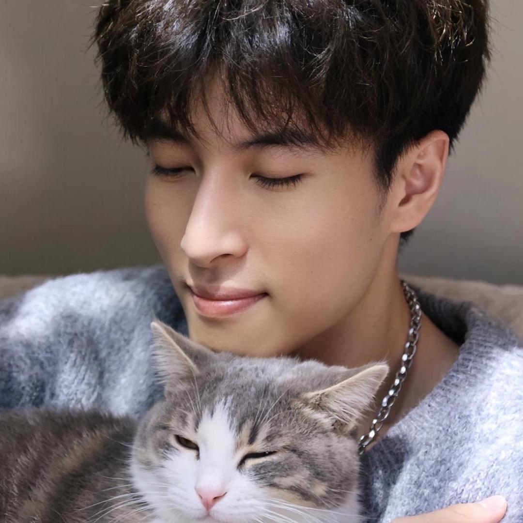 光头强👨🏻‍🦲