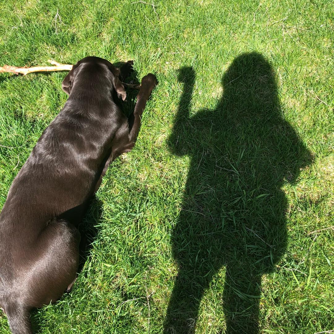 托托托托托托托托托托