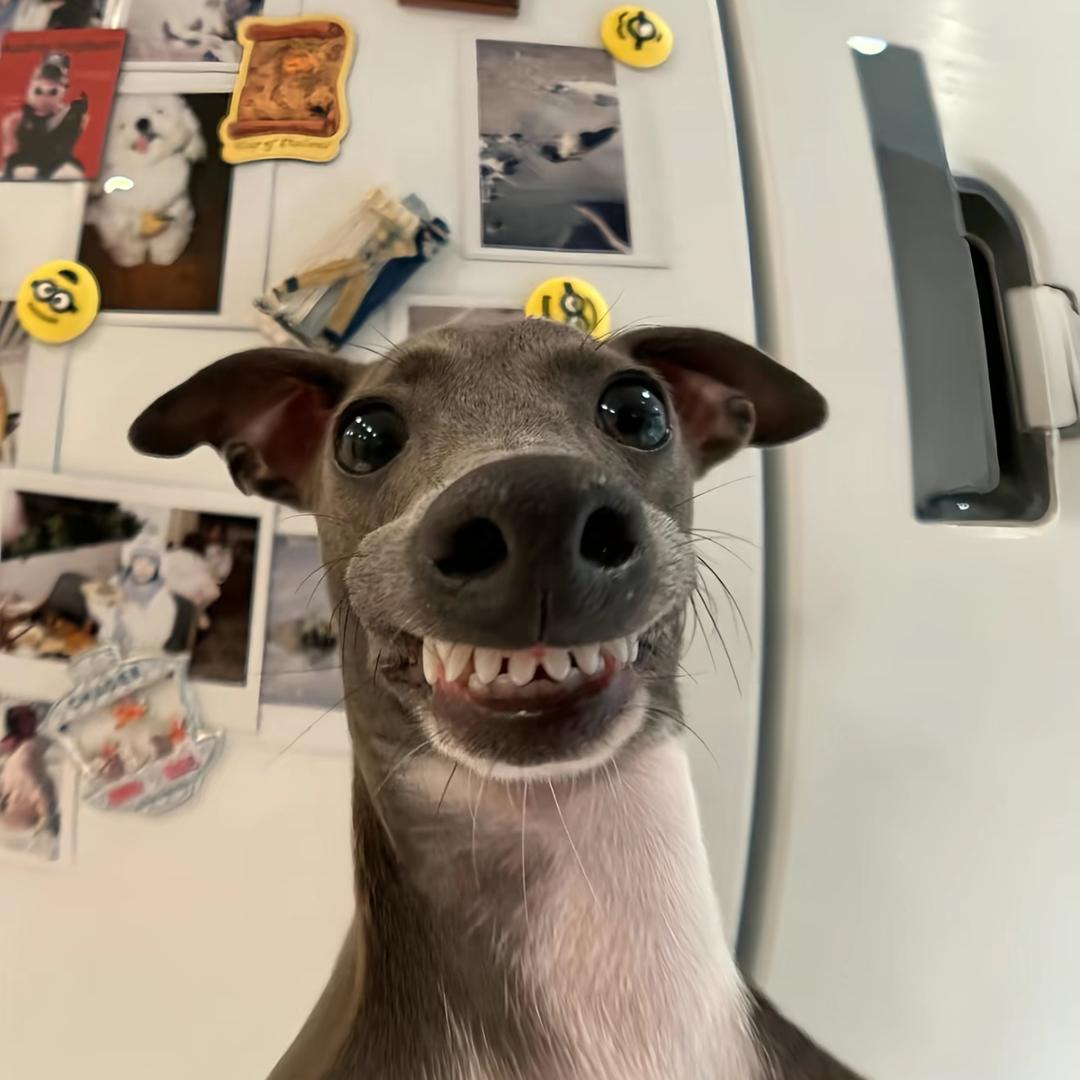 qq