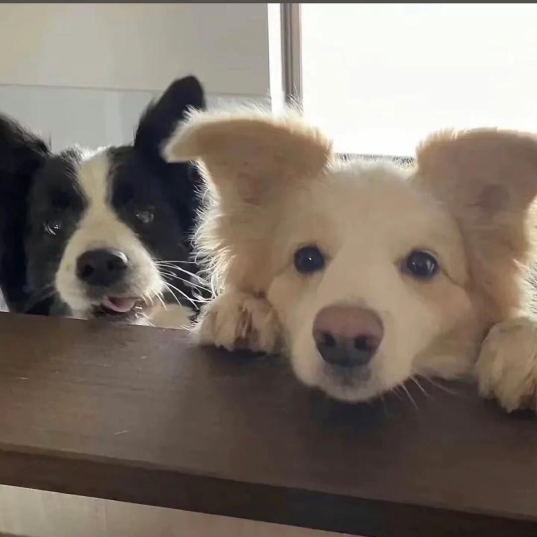 Einstein
