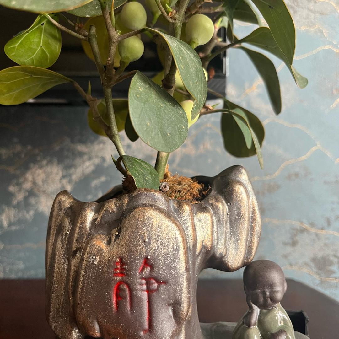 海的声音