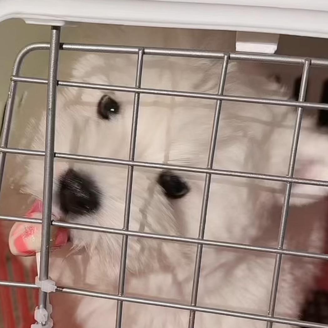 红宝（国服发育路）