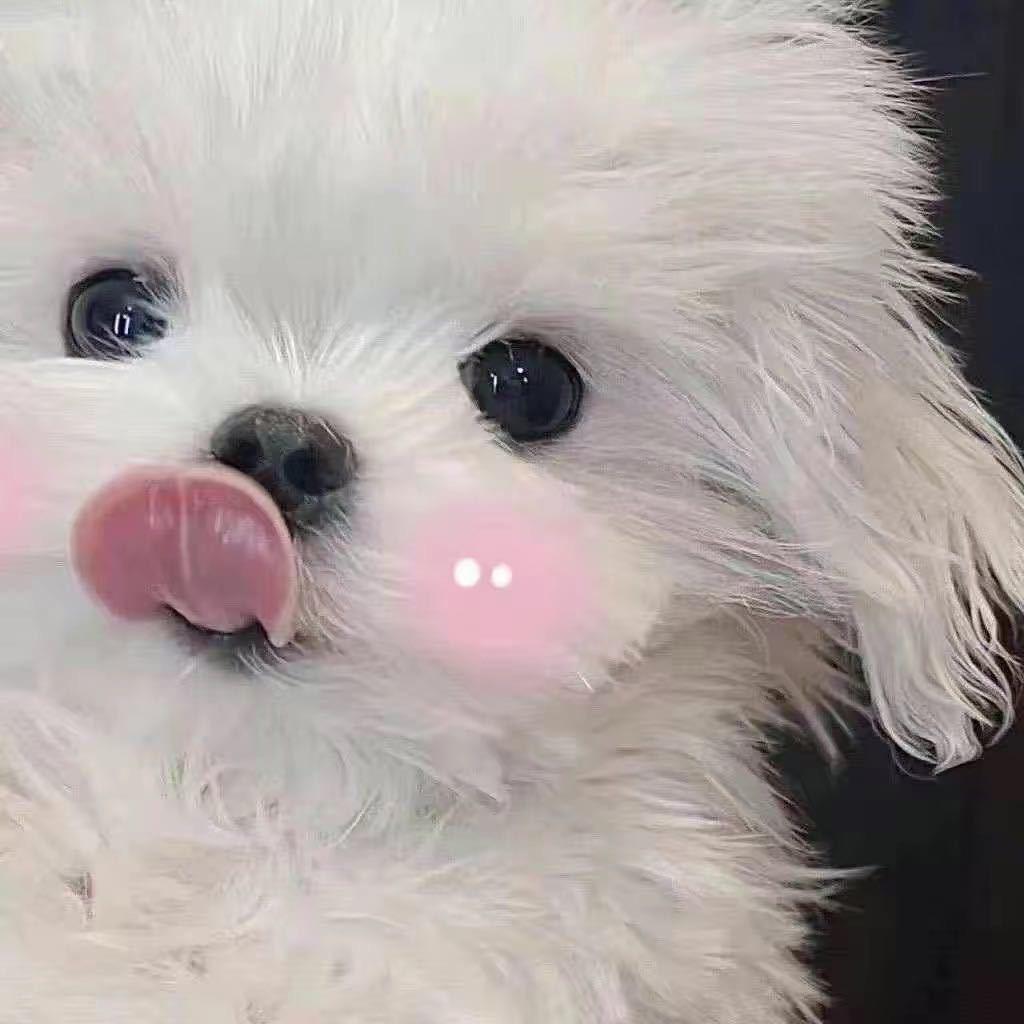 清樾