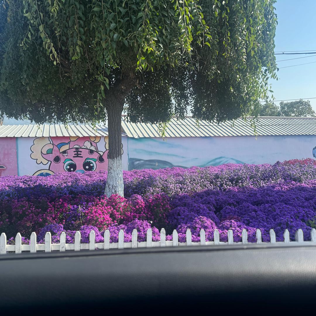 皮蛋瘦肉周❤️