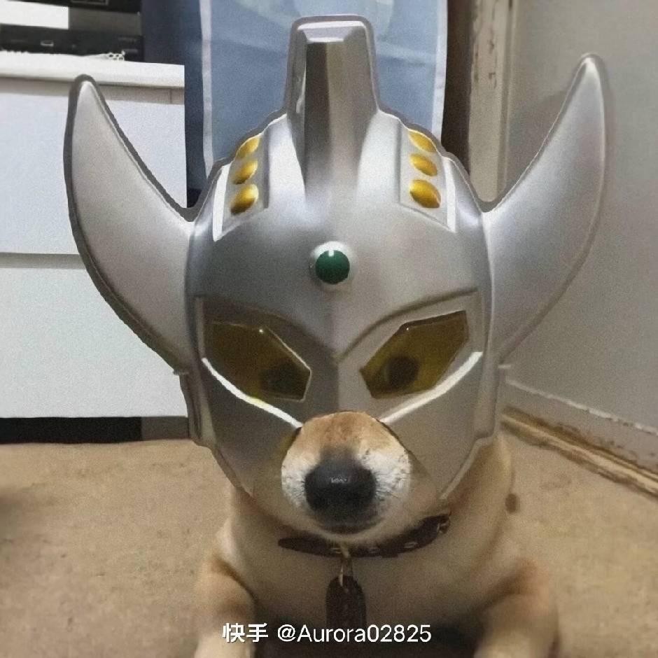 卢于晏