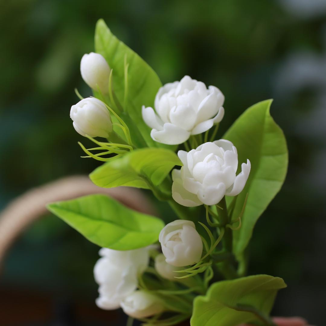 四叶草粘土记