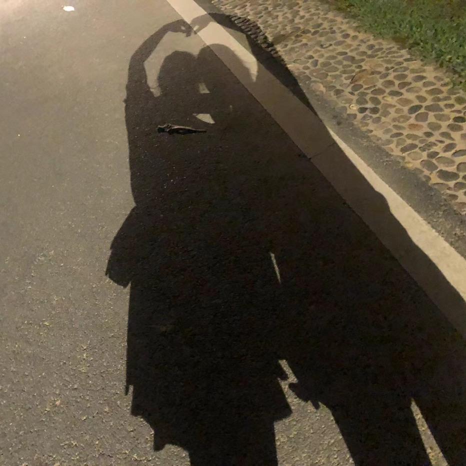 老杨呀