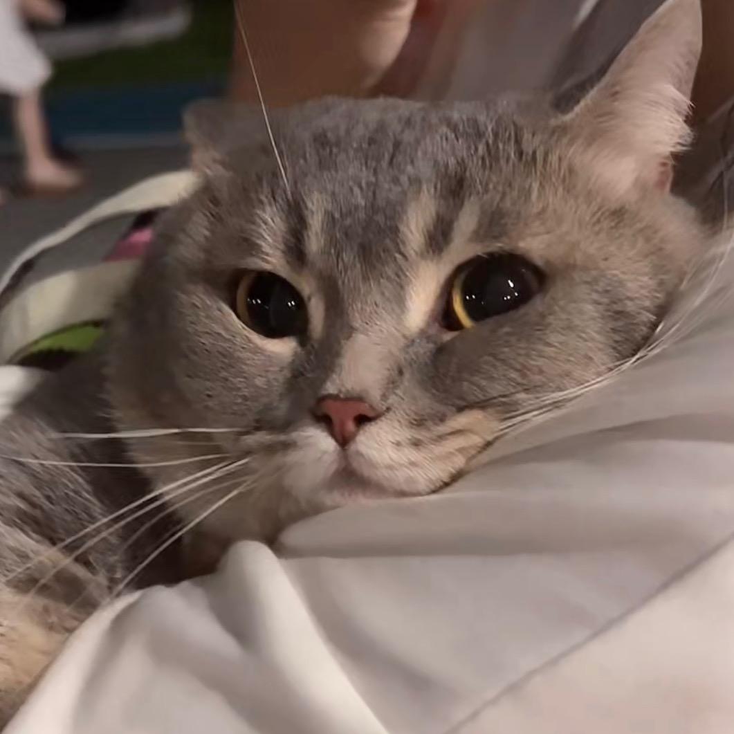 鼻毛驾到biu（烤肠占领地球