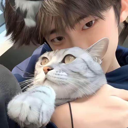王77.