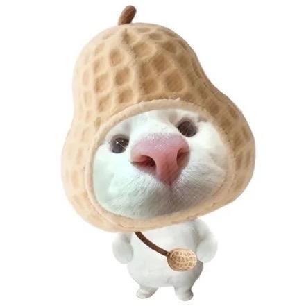 Xx鱼