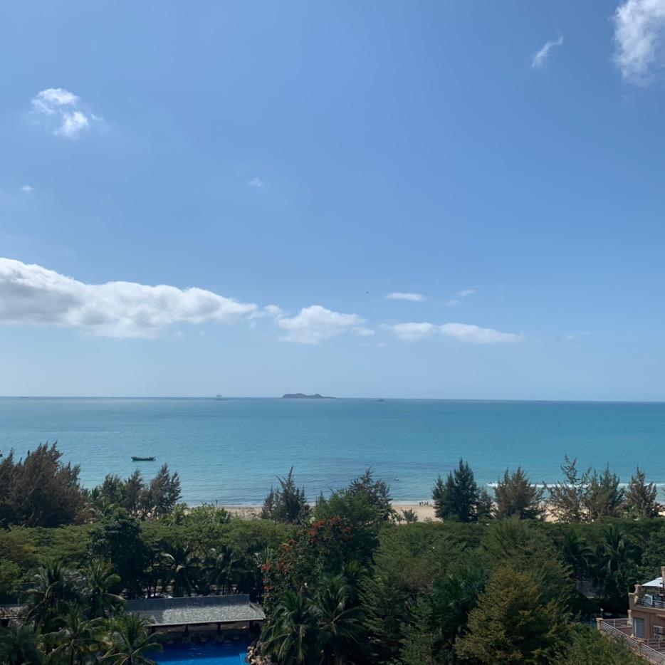 刘念。