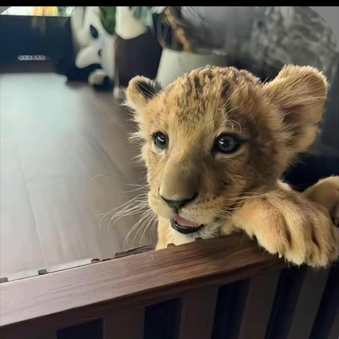 ￴ㅤ￴￴ ￴￴￴ㅤ￴ㅤ