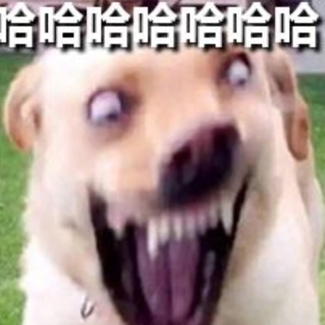 哈哈哈哈哈哈哈