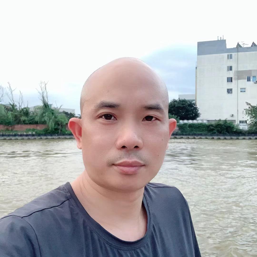 观歌