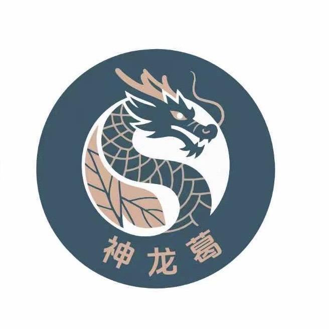 神龙葛零食企业店