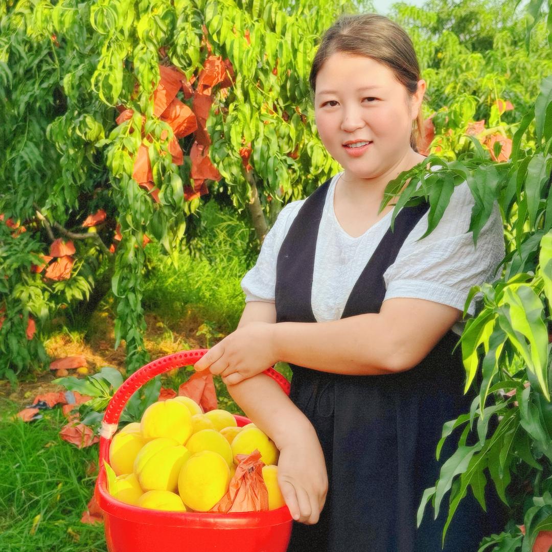 莉莉（吃🍑看主页）