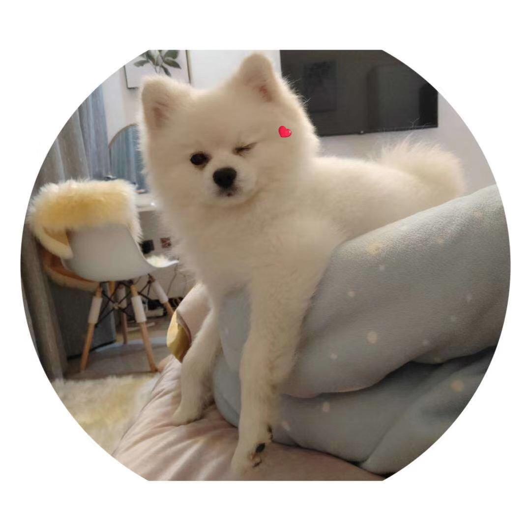 小洛w～·