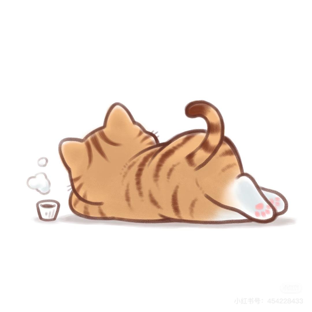 ʕ ᵔᴥᵔ ʔ 🐾