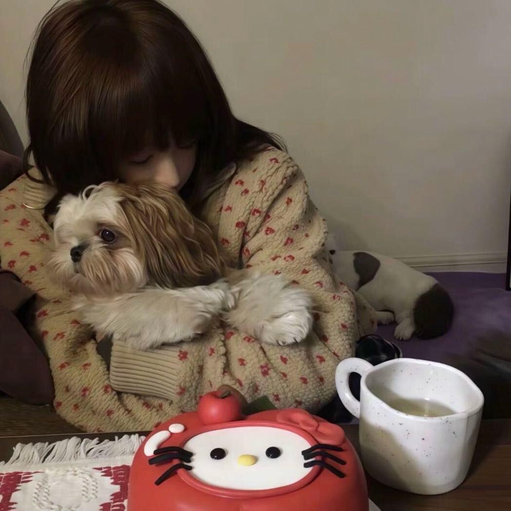 冰块的猫.