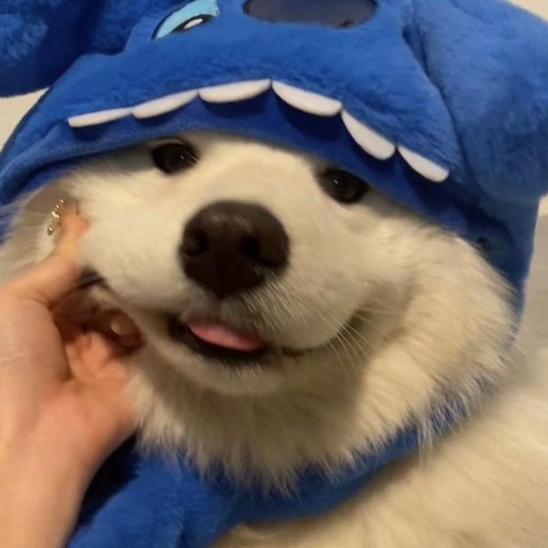 泰裤辣🫥