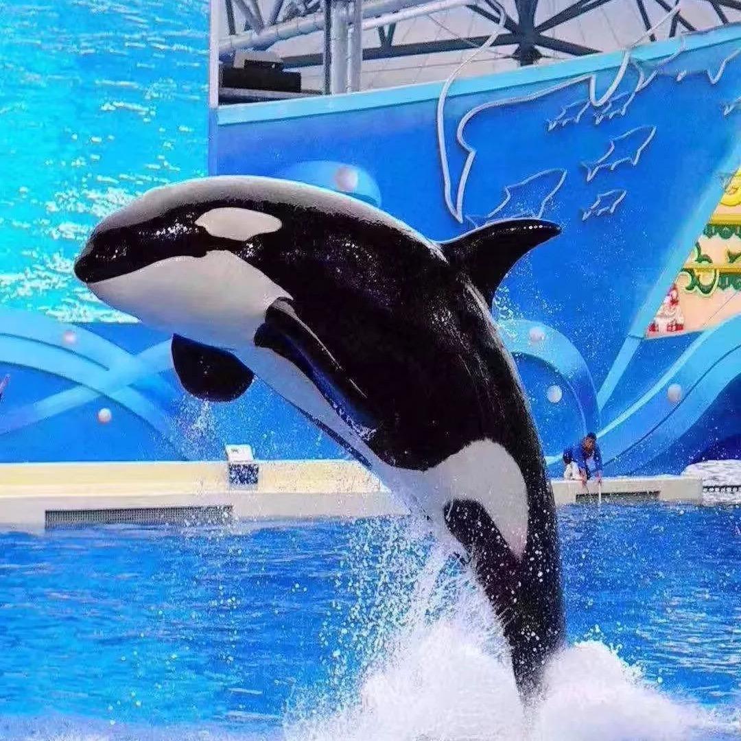 郑州海昌体验官