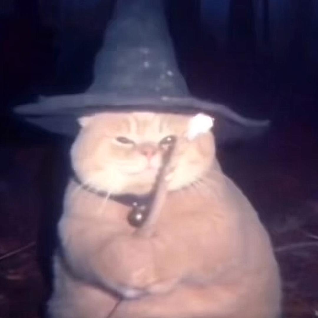 7LL
