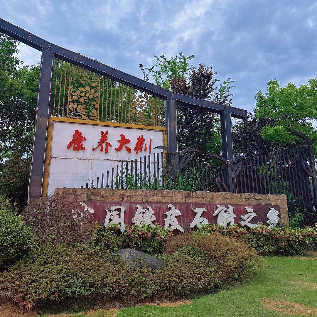雁山百草石斛