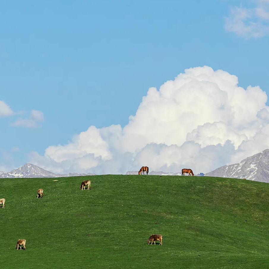 家装五金王师傅