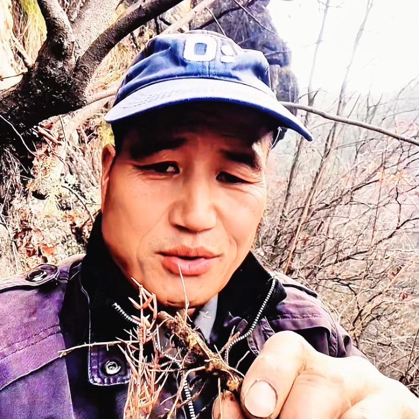 秦岭山珍（薛哥）