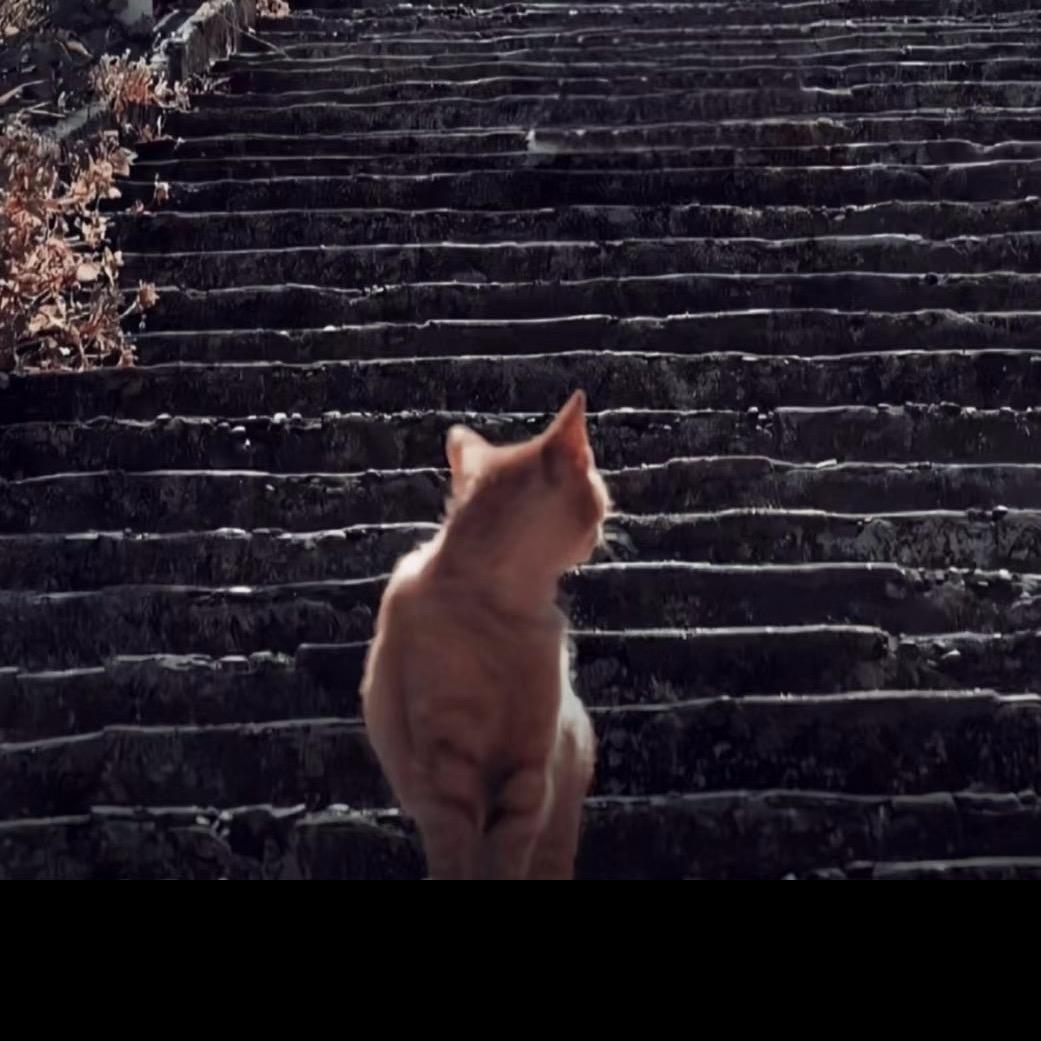治愈🌈